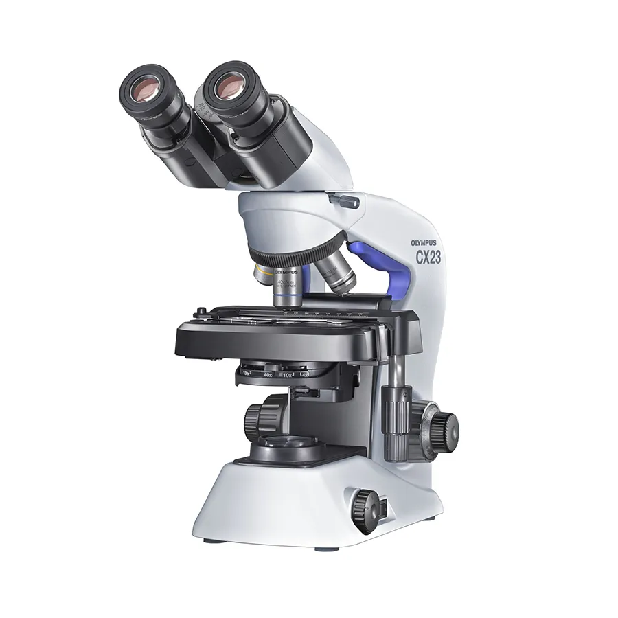 Microscopio            Binocular